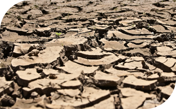 Cracks on Earth