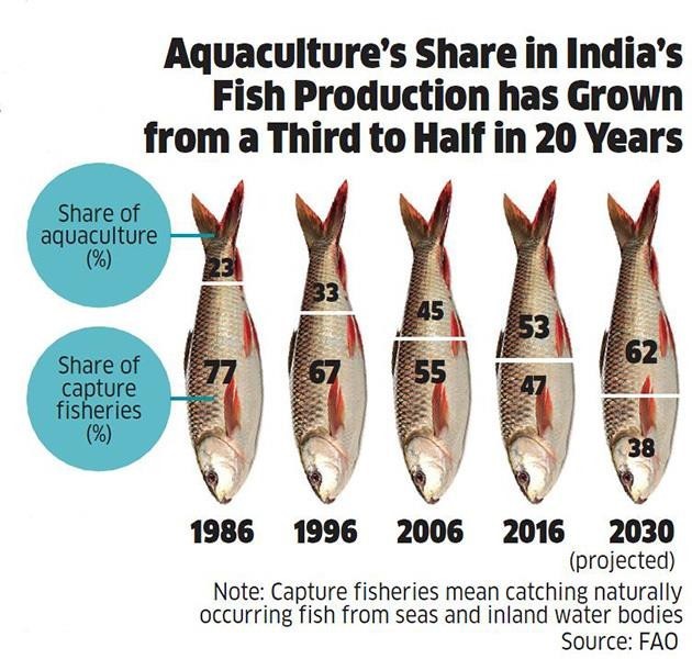 Representation of Aquaculture fish production and share