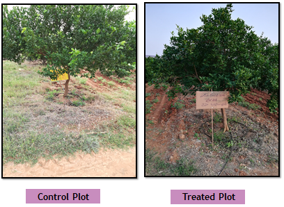 Control plot vs Treated Plot