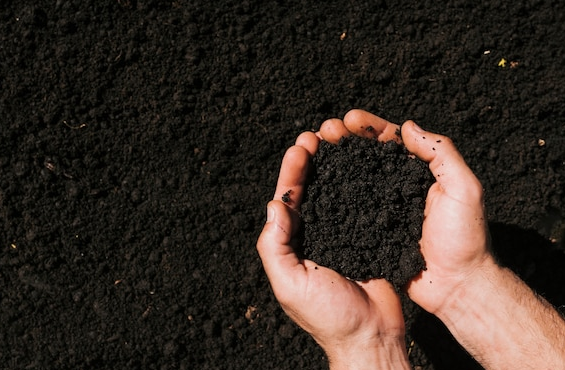 Hand holding sufficient sand