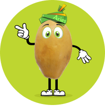 Aries Animated potato image