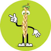 Aries Animated paddy image