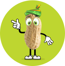 Aries Animated Groundnut image