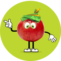 Aries Animated Pomegranate image