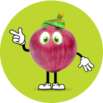 Aries Animated Onion image