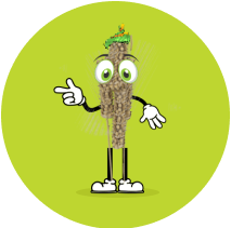 Aries Animated paddy image