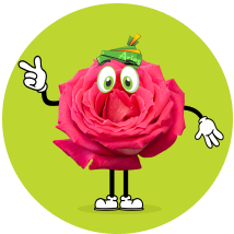 Aries Animated Rose image